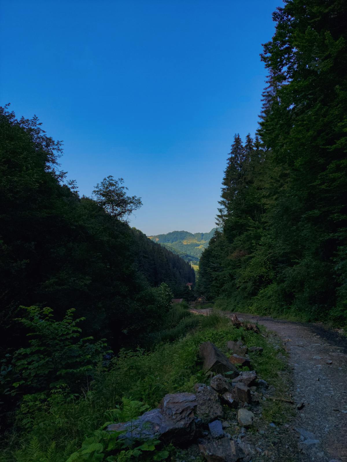 😱 ¿Vas a ver el Clásico Mundial de Beisbol con tu abuelo o...