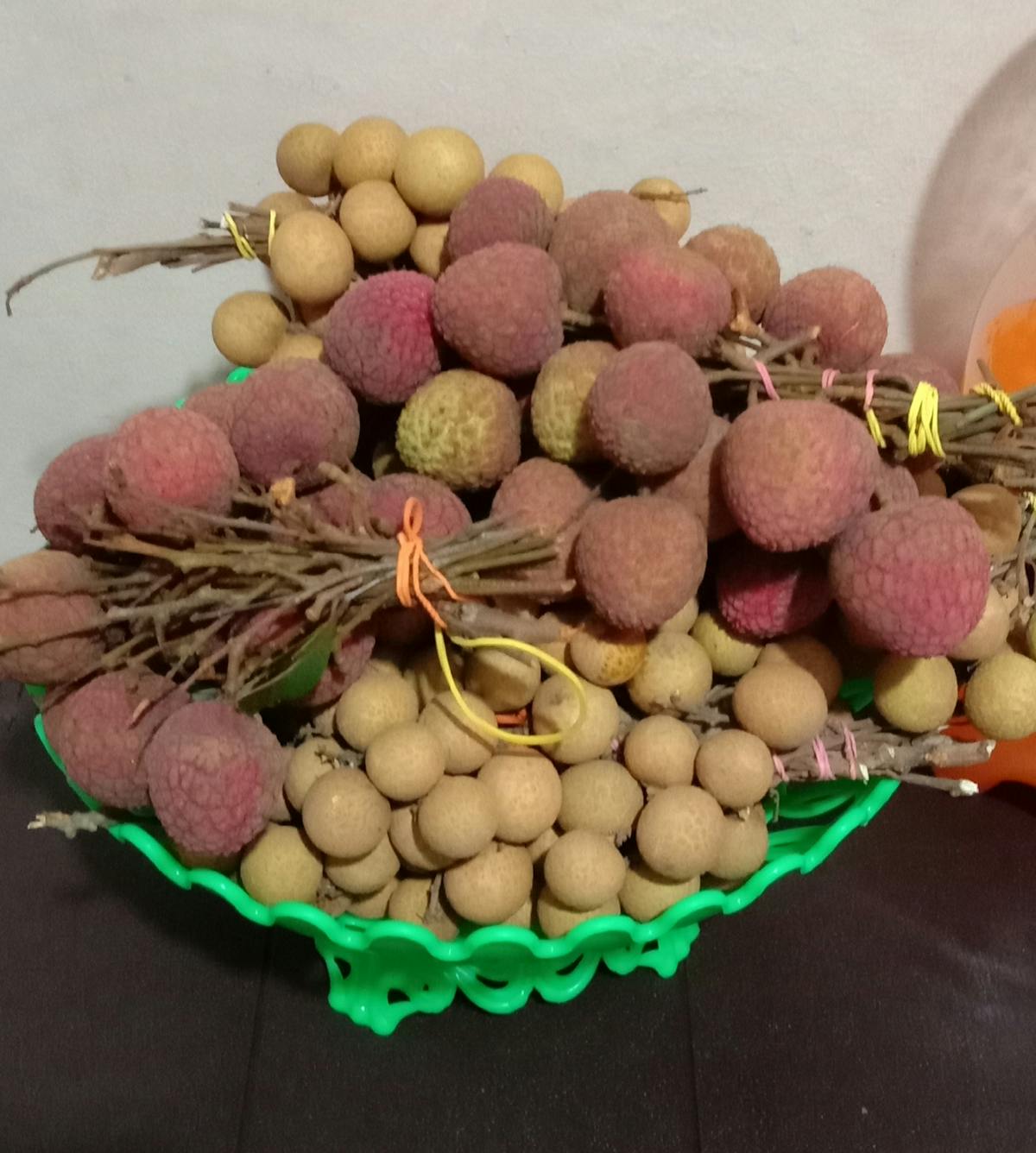 ¿El Jardín Botánico de Bogotá Es el Último Refugio Verde o...