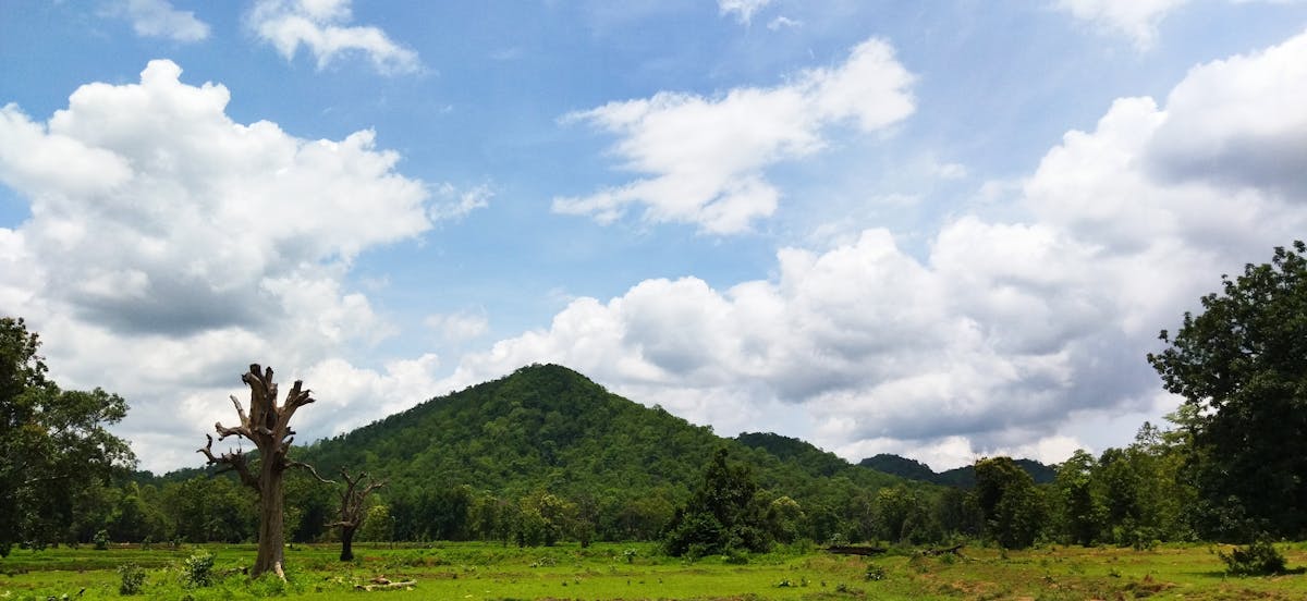 ¿En Arizona se ven cohetes espaciales pero no la respuesta...
