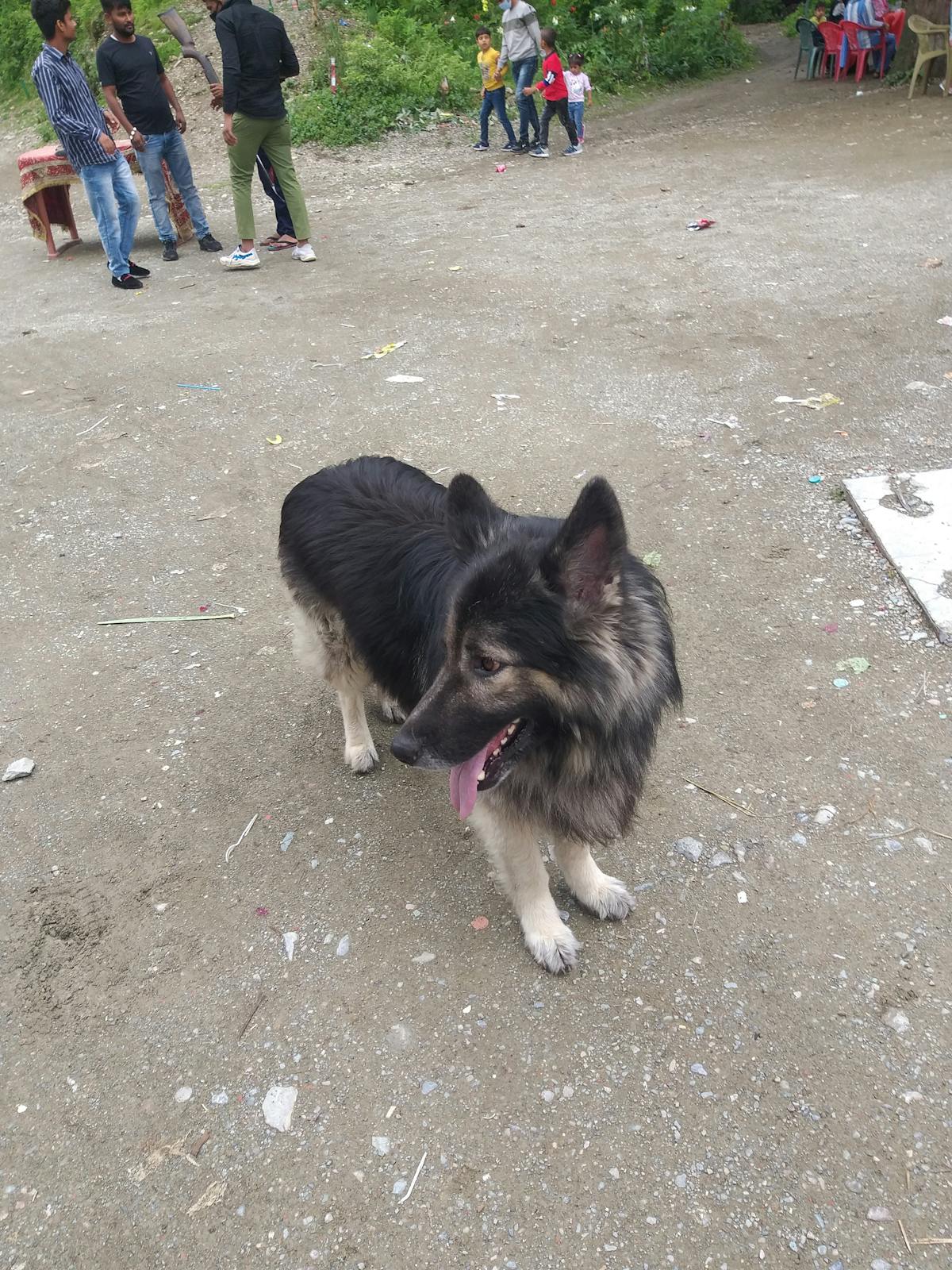 ¿Te Dieron el Baja con la Actualización de Instagram este ...