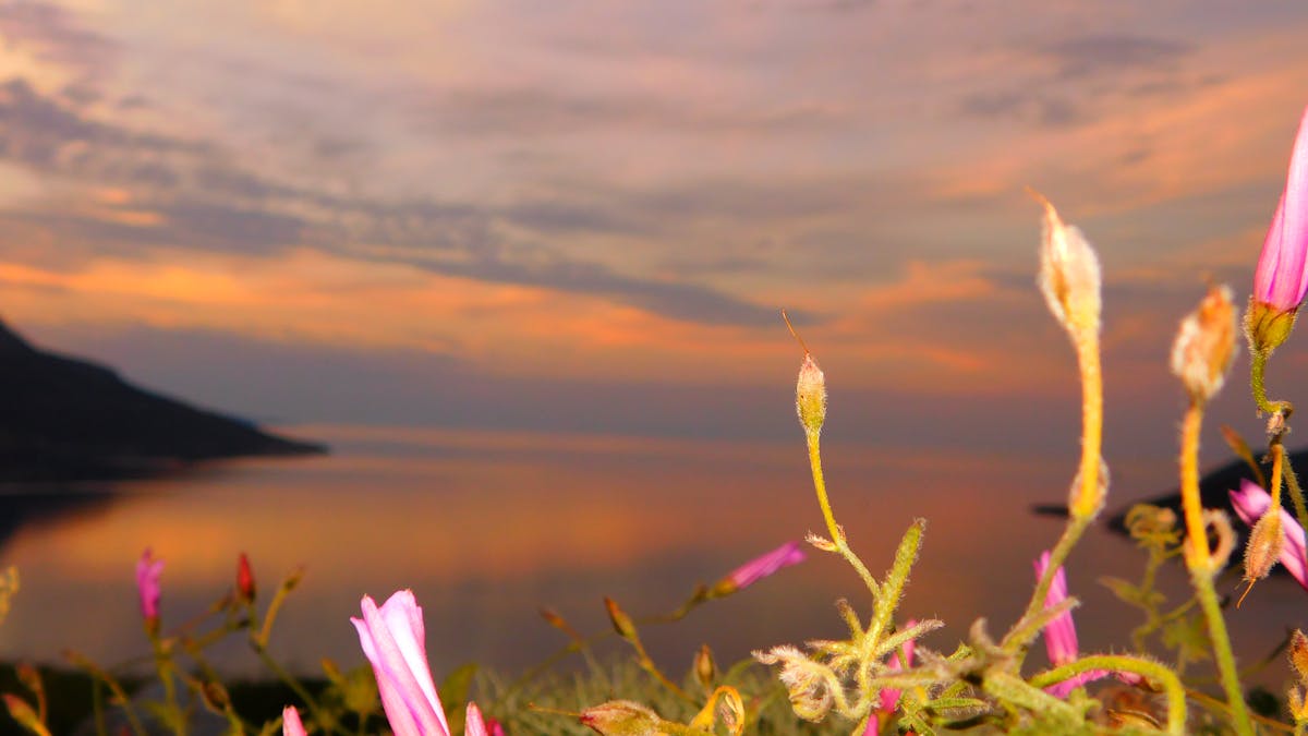 ¿Tu Negocio Está Listo para el Incendio Digital? 🔥