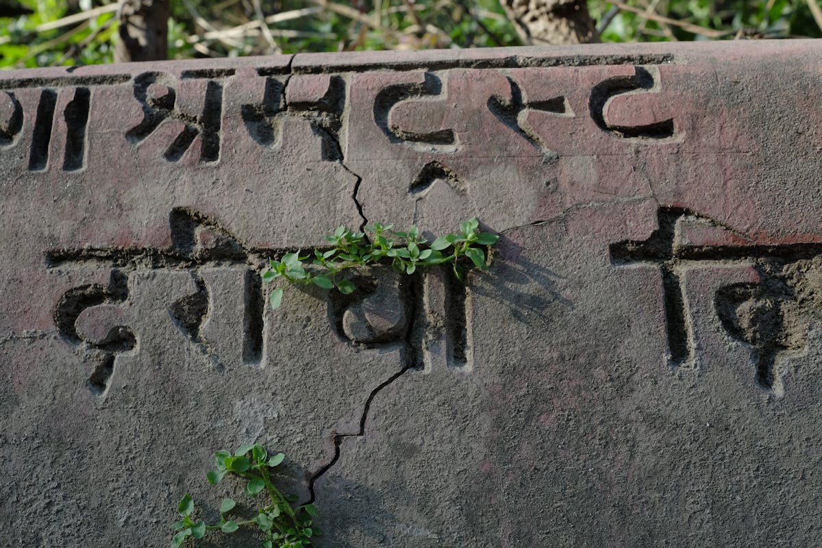 ¿Estás Preparado para la Mejor Fiesta del Año? ¡La Ciudad ...
