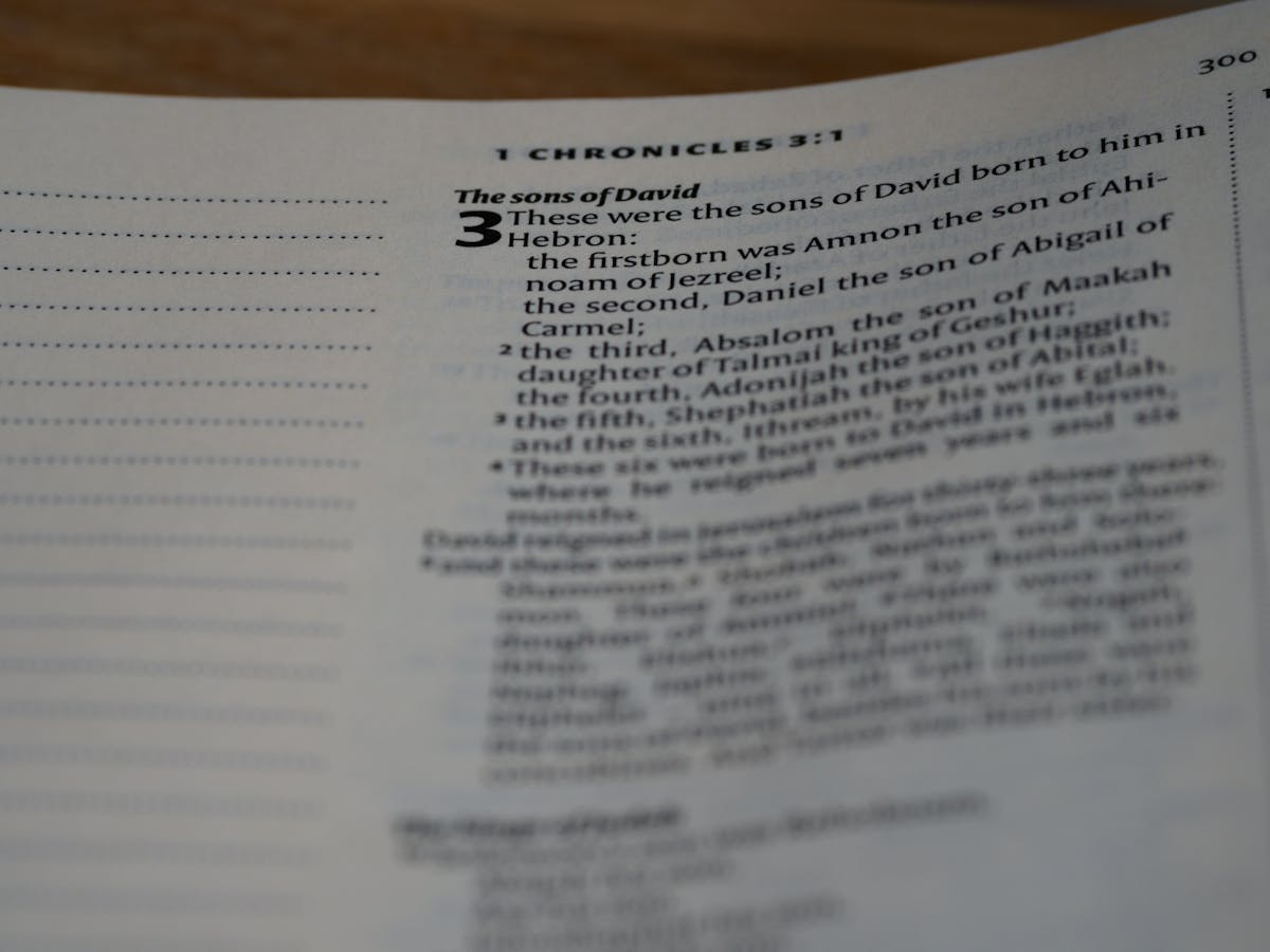 ¿Volaris te responde o solo tuitea?