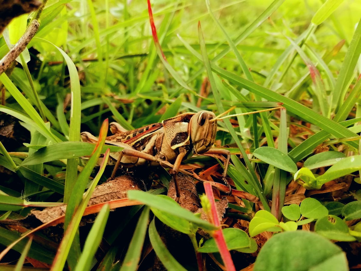 No te pases de la raya: ¿Cuáles son los verdaderos problemas d...