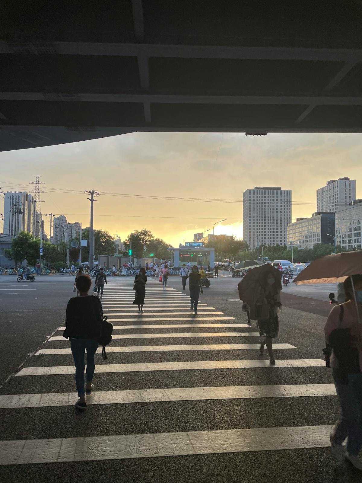 ¡Esto es oro! 🚨 ¿Sheinbaum les está pidiendo a EU que detengan...