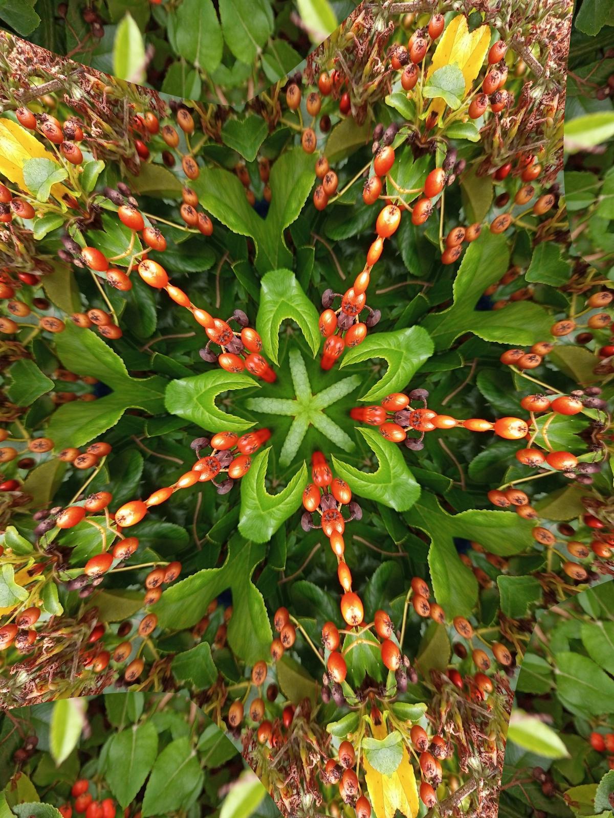 ¿Un No te pases a la libertad de prensa? La period...