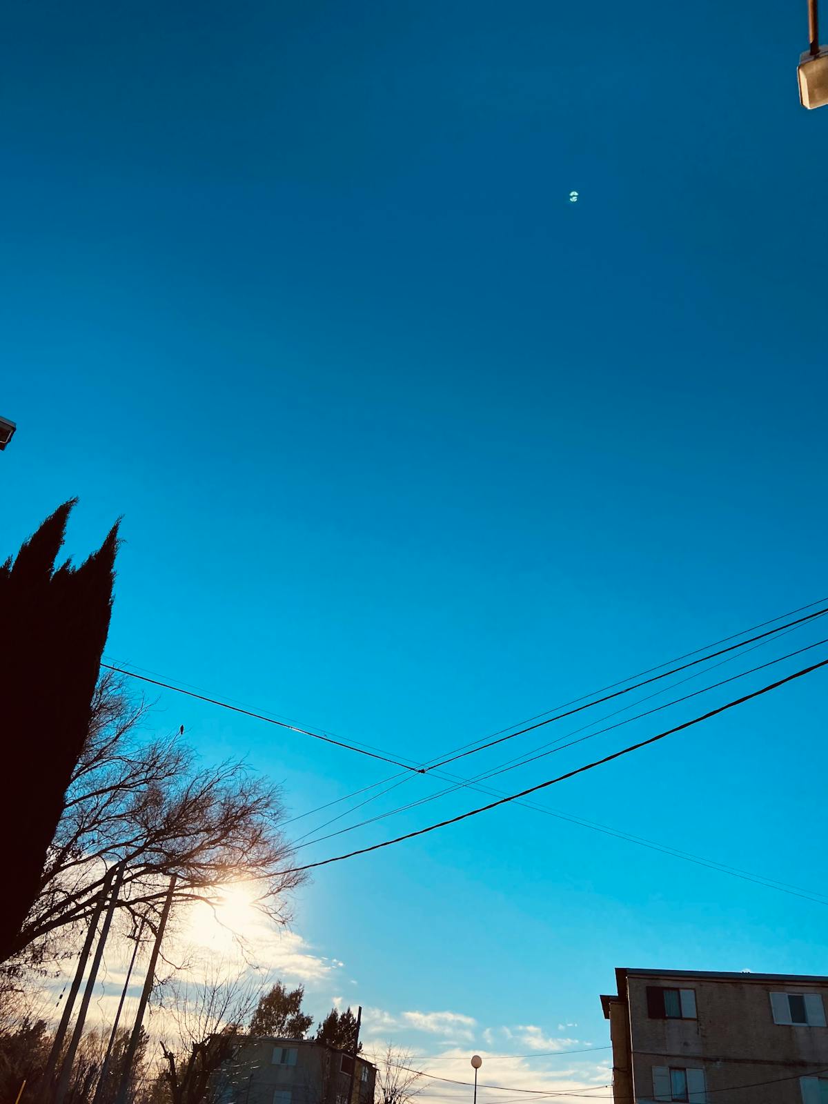 ¿Por qué no nos respaldan a nosotros? 🤡