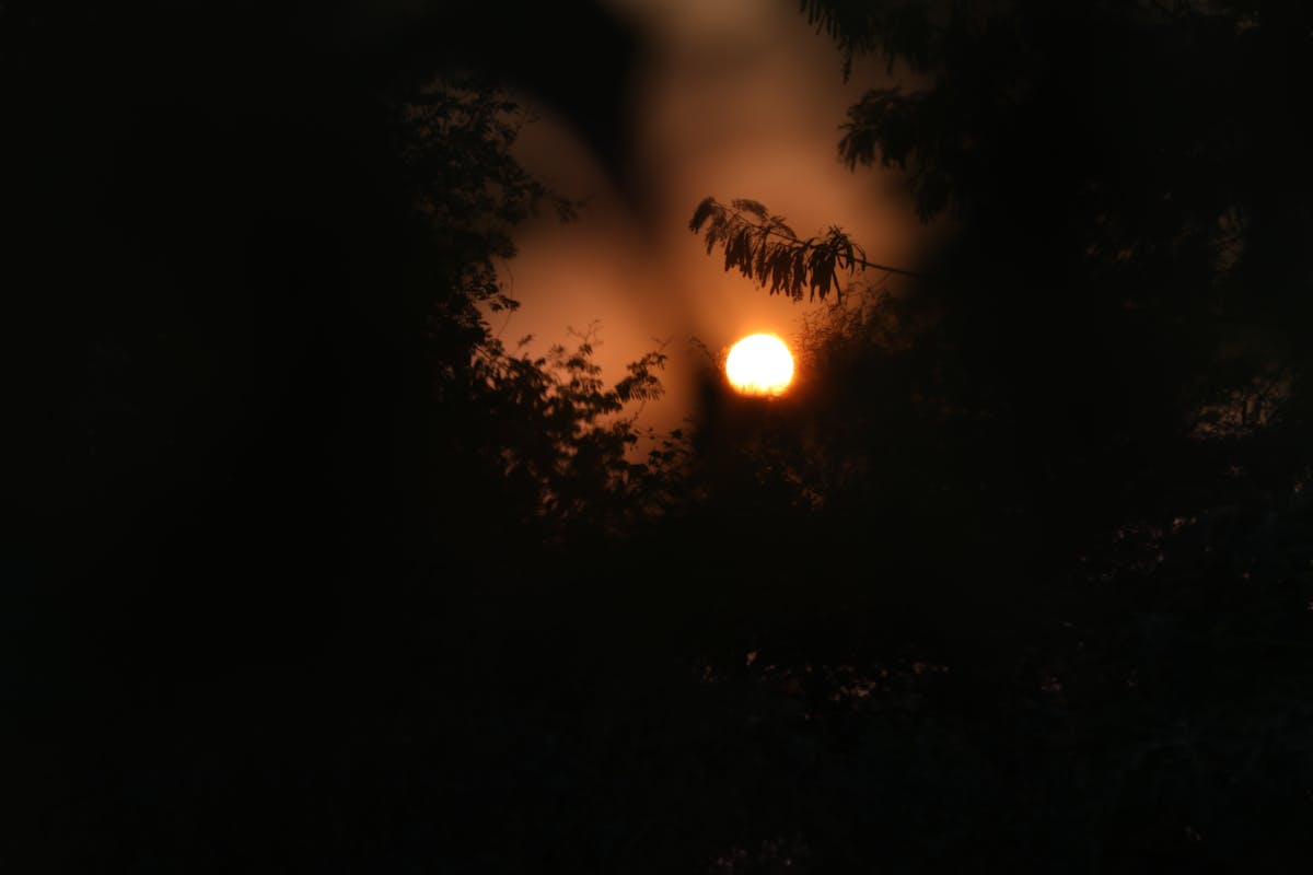 ¿Se Tiene que Decir y Se Dijo: La Verdad sobre Blue.Jpg?