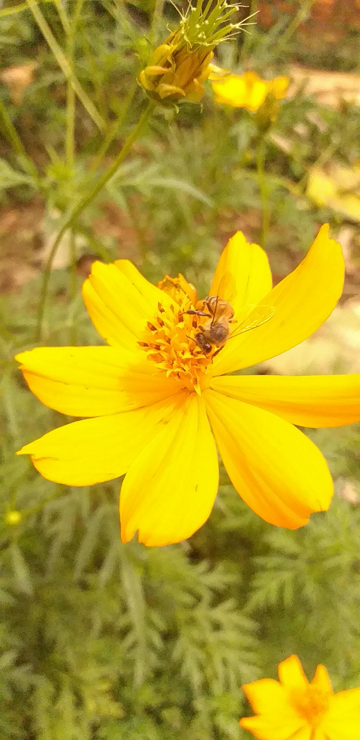 ¿Puedes aprender a aprender de verdad o solo finge con el ...