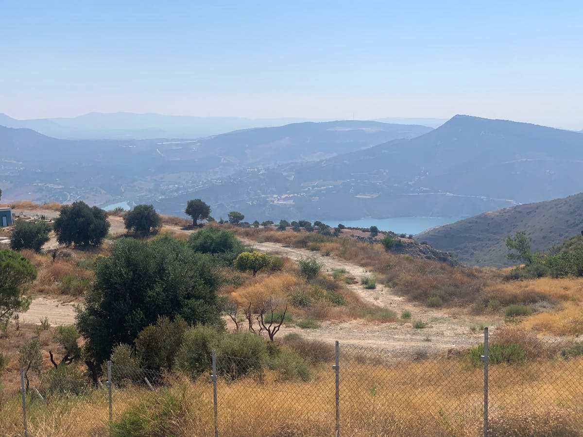 ¿La Adicción No es Solo por la Costumbre? 🤡