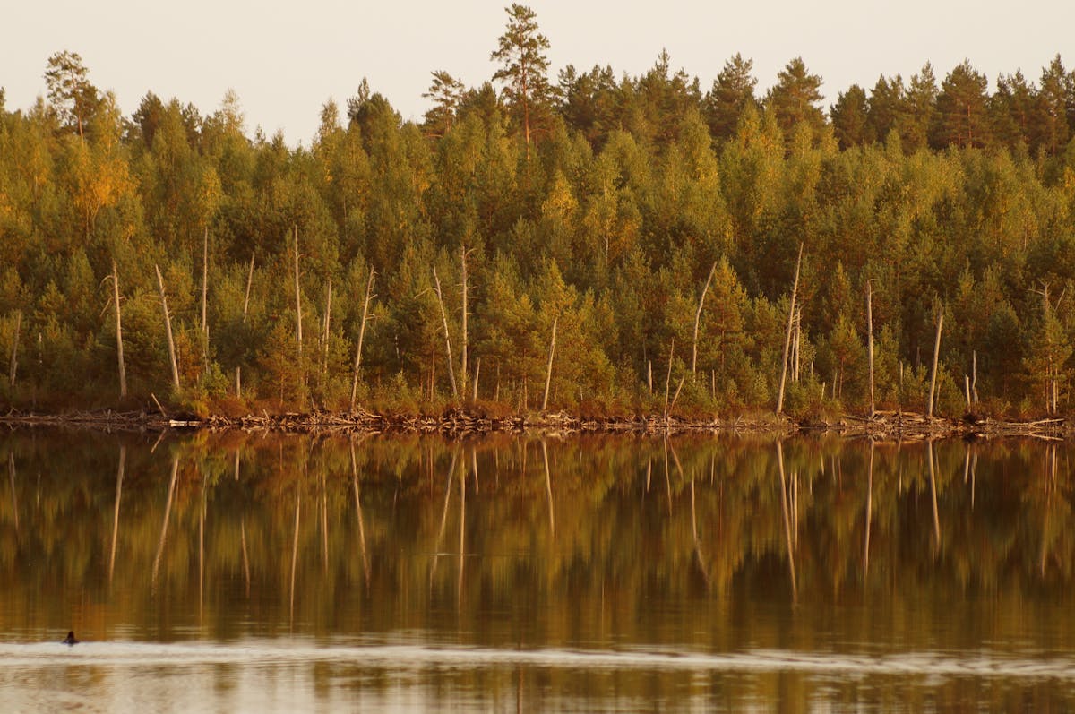 Founder Mode: ¿Tu Startup Tiene Plan B o Vive al Límite co...