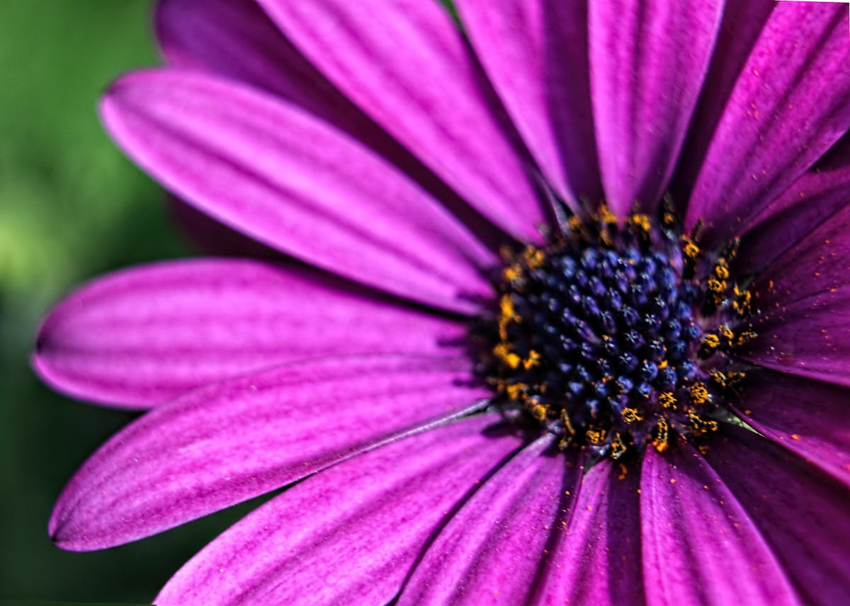 ¿Tu Depresión Tiene App? 🤯 Esto Rivaliza con Terapia & Med...