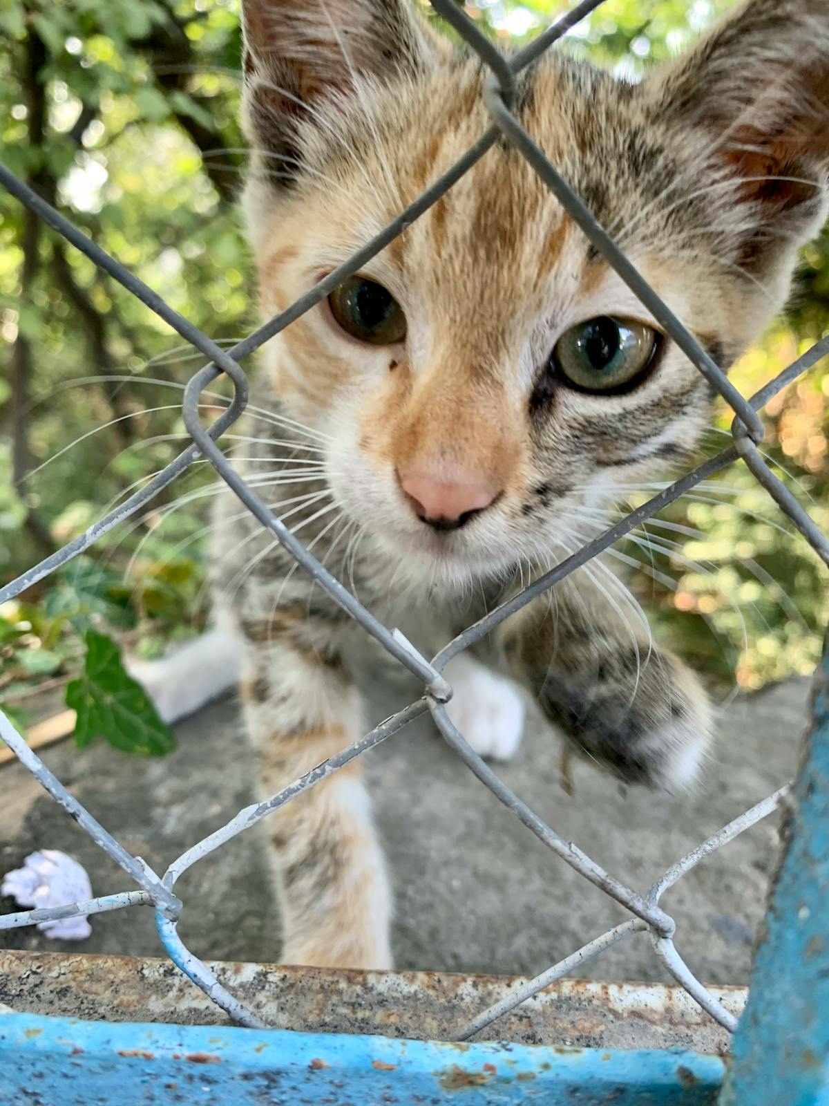 ¡No Quieres que tu Ex te Hackeee el Corazón! 🚩 ¿Los Gafapa...