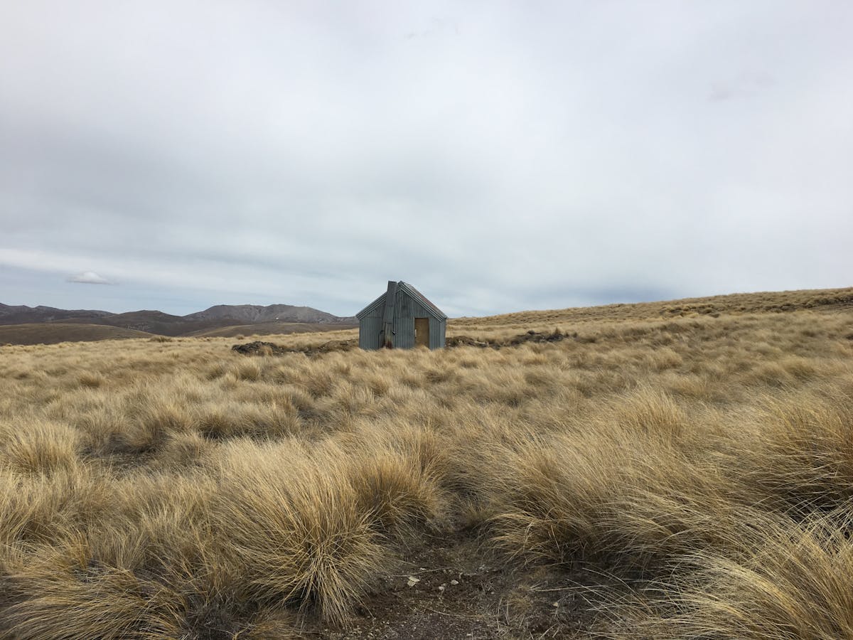 ¿Dónde Debe Llegar la Oficina de Ethiopian Airlines si No ...
