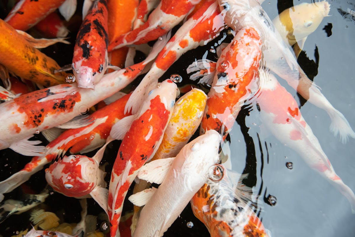 ¿Tu Perfil de Instagram es una Brecha de Seguridad o Solo ...