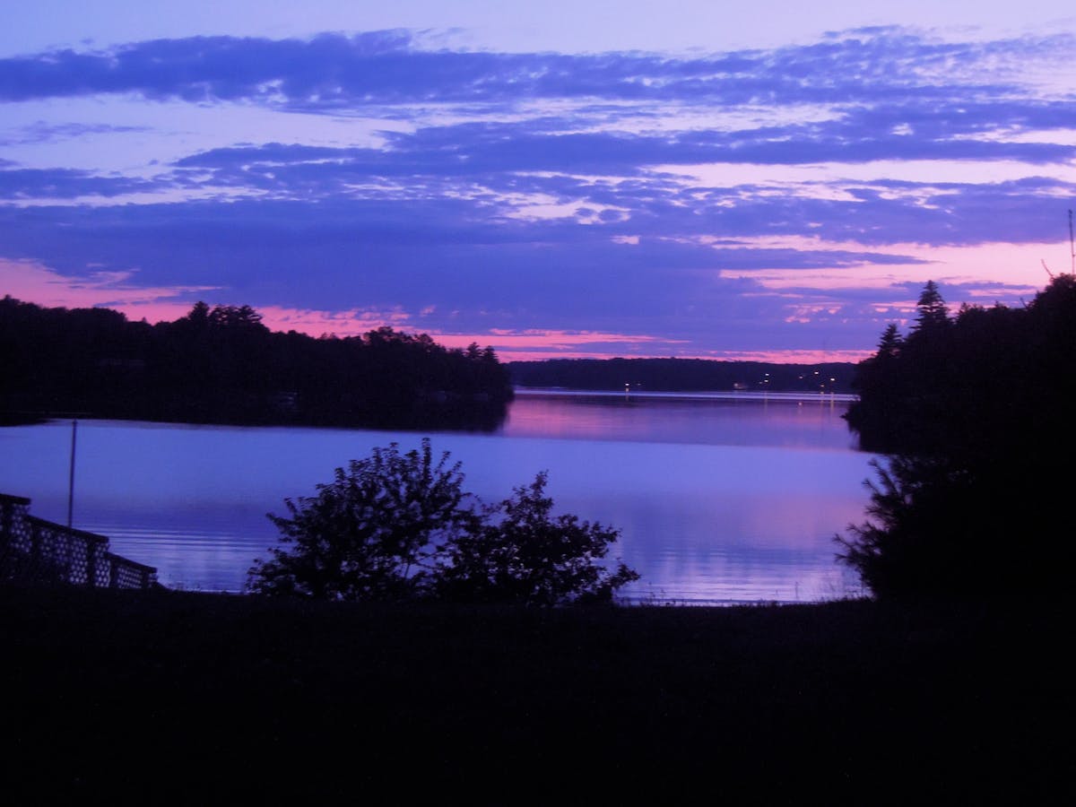 ¿Se Tiene Que Decir y Se Dijo? Ciberseguridad para No Expe...