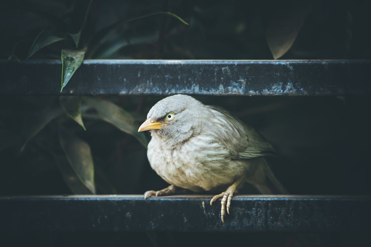 ¿Niñitas o mujeres? 🤷♀️ La diferencia importa en las rede...