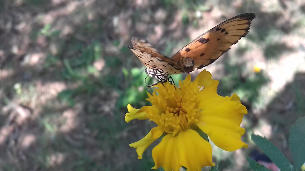¿Esto es un fraude o solo la Argentina Week? La A...