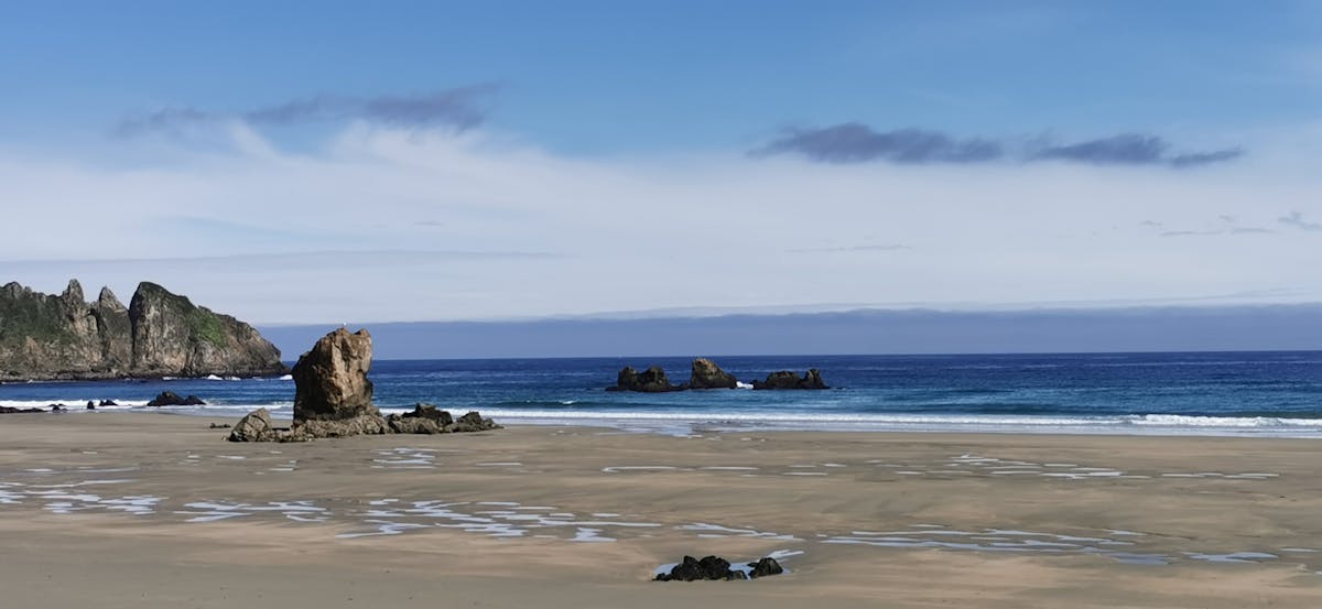 ¿La tecnología puede curar el dolor crónico o solo te hace...