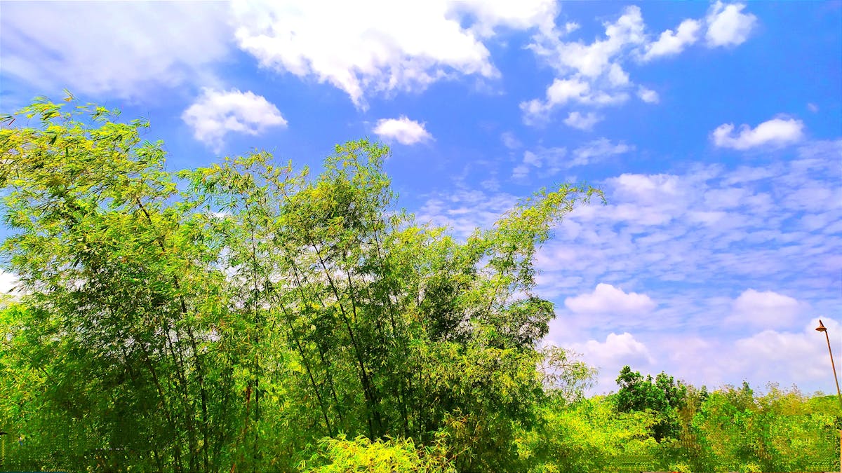 ¿Argentina Week es el Gran Fiasco de la Tecnología Latinoa...