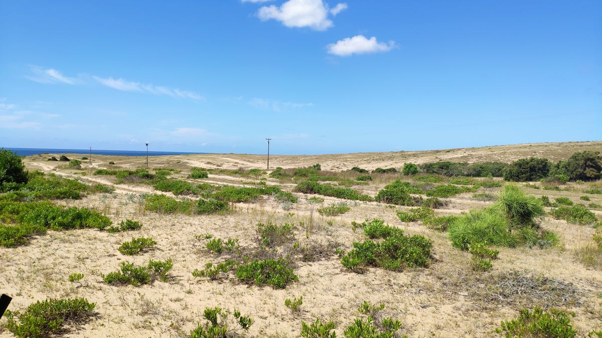 ¿TlajoVan a la Escuela o Sólo Se Van a la Cárcel?