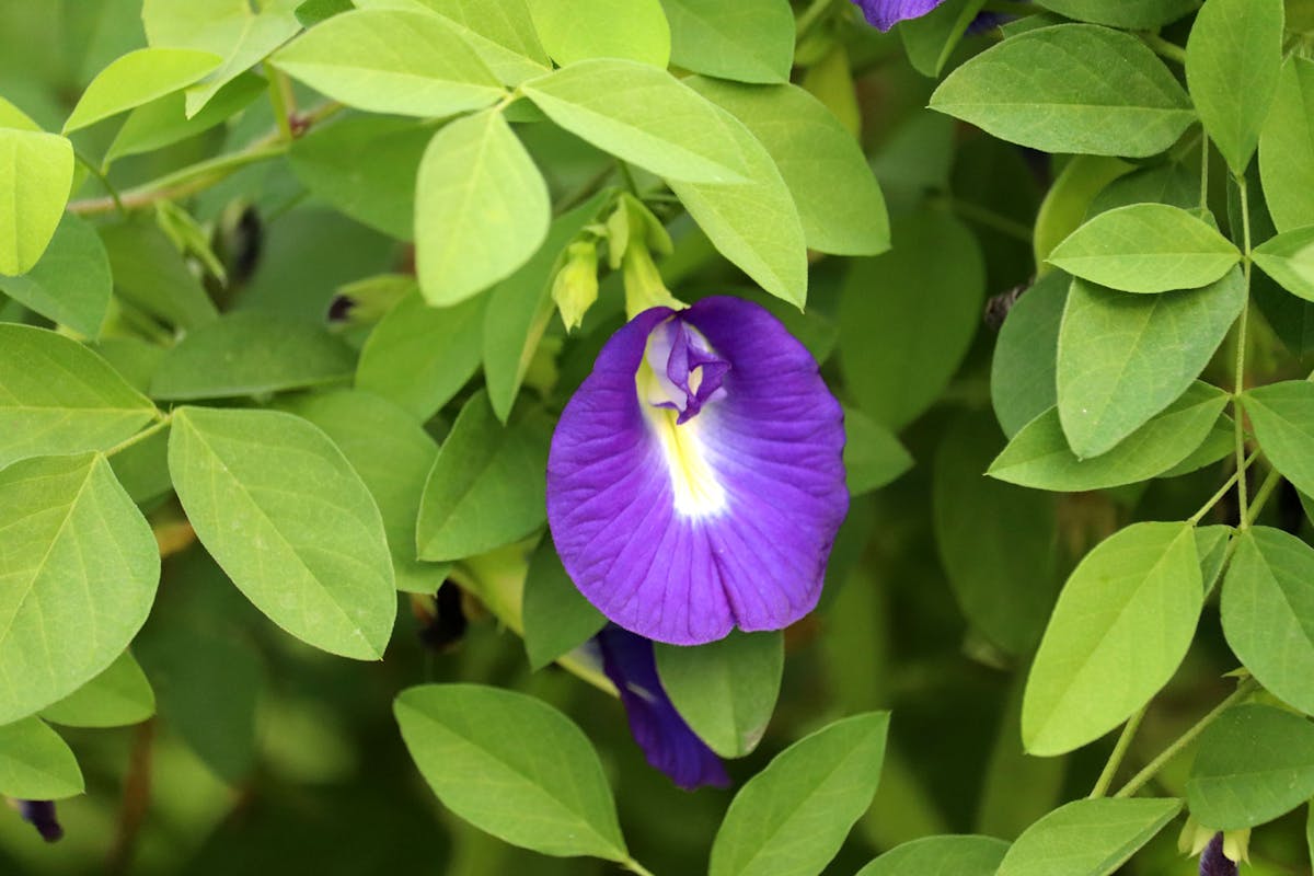 ¿Se Juega la IA de Xbox Por Ti En Momentos Críticos o Es S...