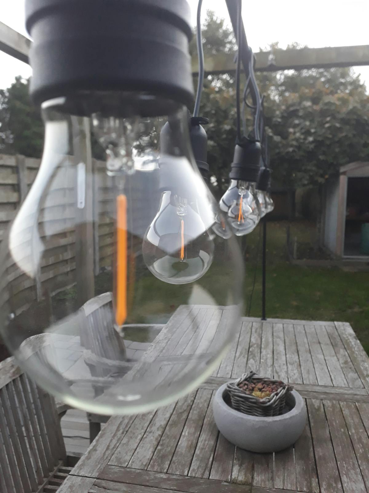 ¿Potte es el nuevo Bitcoin o solo un Chupón? (Nota: ...