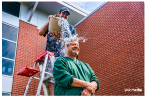 ¿Algo está roto en la cabeza de Taylor Swift y los Ice Buc...