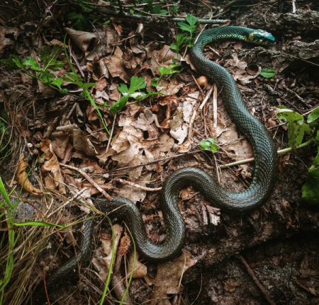 ¿Al chile, ¿Tu App Tiene Ciberseguridad o Es Un Ciberviaje? 🚩