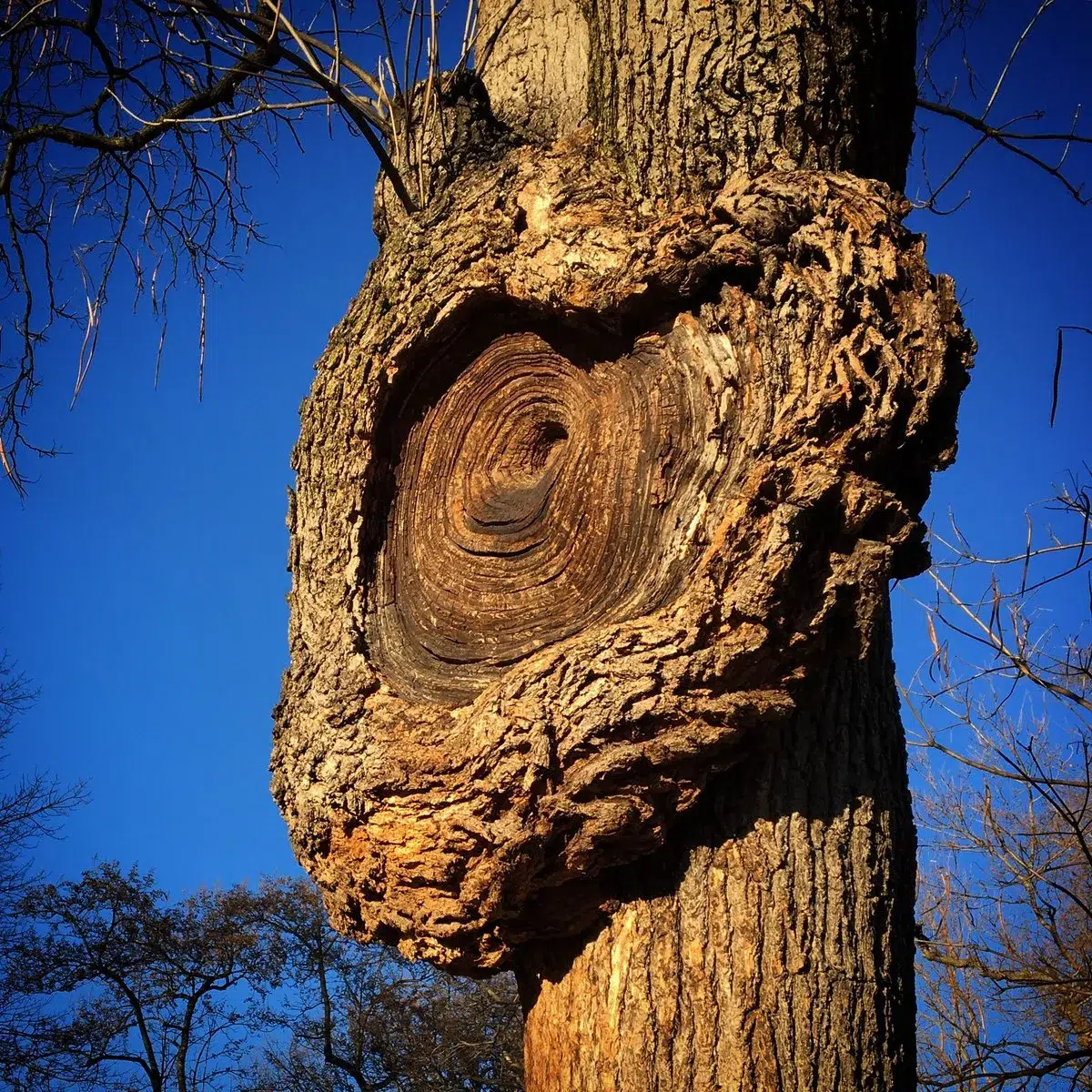 ¿Necesitas Perder Todo para Ganar la Vida? 🤯