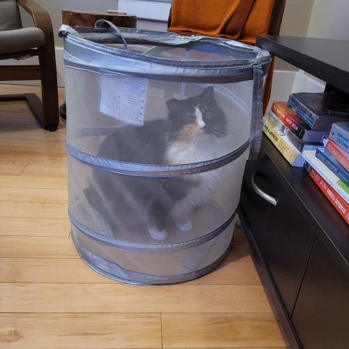 🚩 ¿Ojo Aquí? 3 Apps de Productividad que Prometen pero Fal...