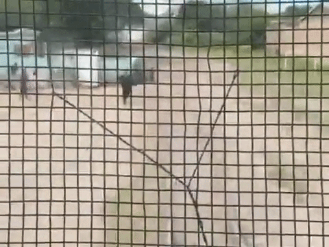 ¿Un Policía Es Un Superhéroe o Solo Tiene Suerte?