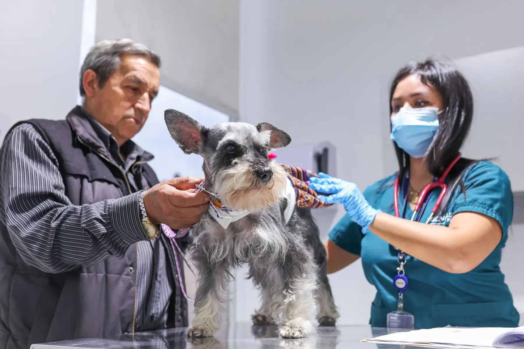 ¿Leptospirosis? ¡No te pases! 🚩