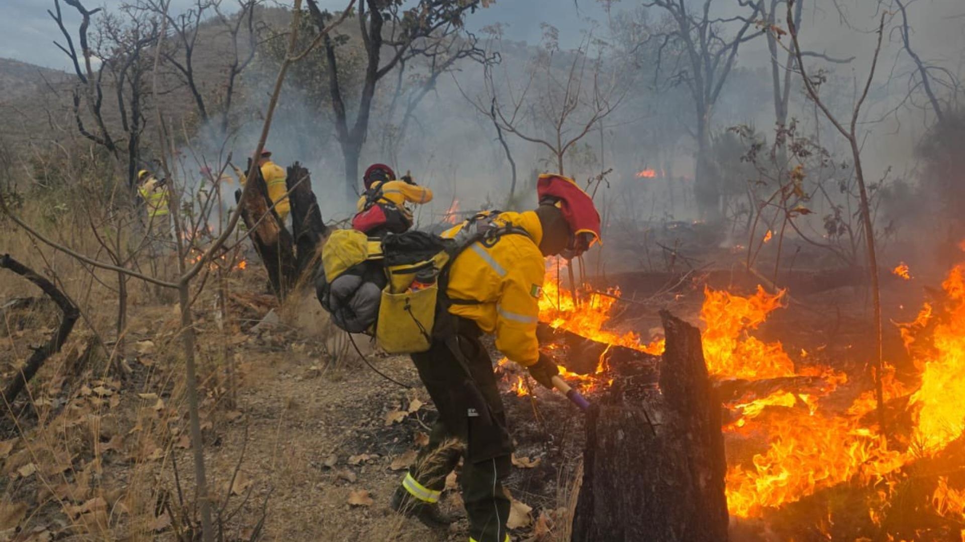 🚨 Alerta Cibernética en Jalisco: ¿Son los Municipios un En...