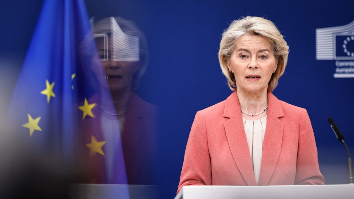 ¿EU-Mercosur trade deal es un Juego de Roles o una Ventaja...