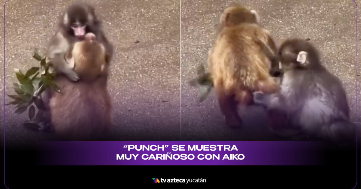 ¿Punch se convirtió en el esposo ideal de TikTok? 🚩