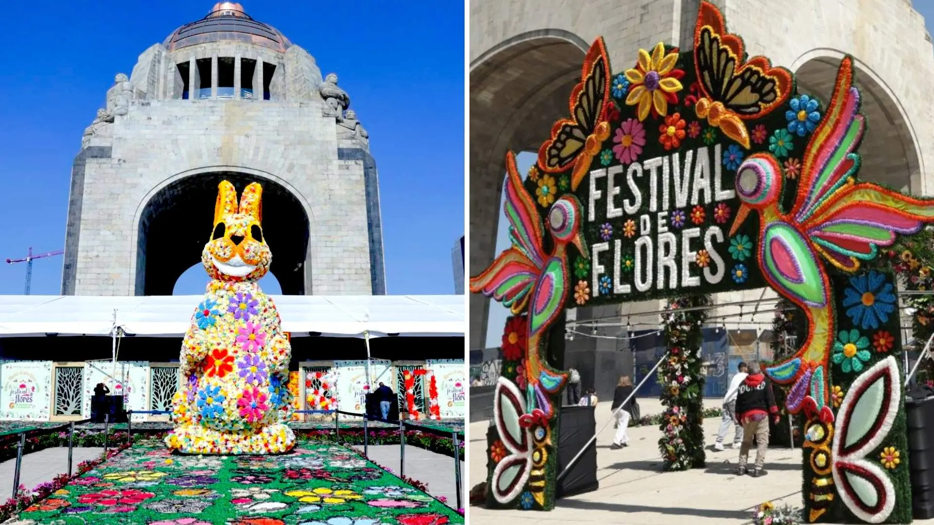 ¿CDMX Se Convertirá en el Blackout Musical de la Generació...