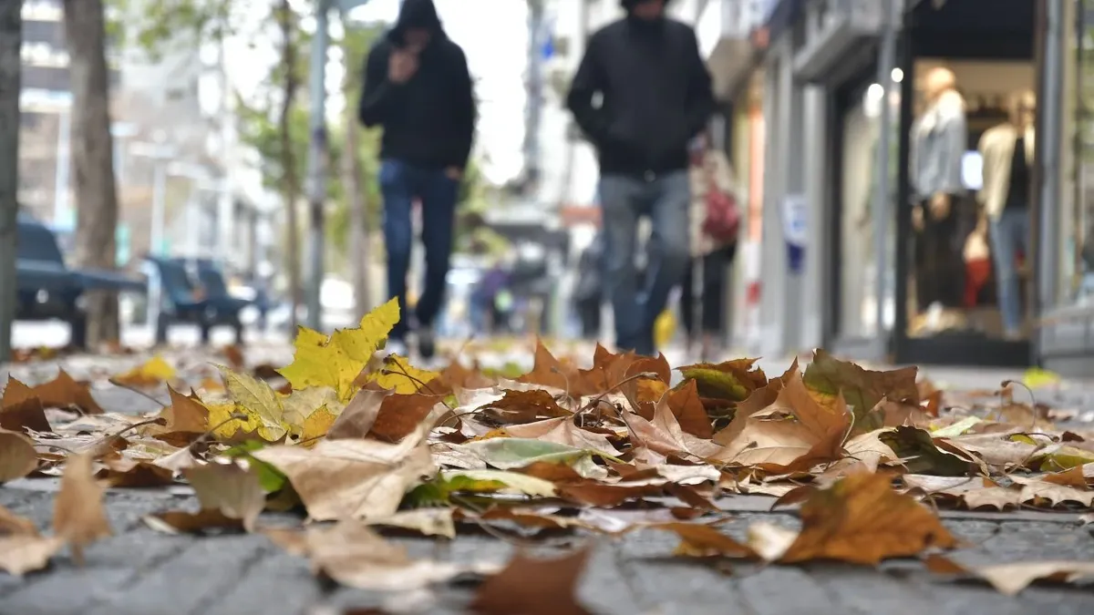 ¿A qué hora arranca el otoño? 🍂 No te quedes al margen de ...