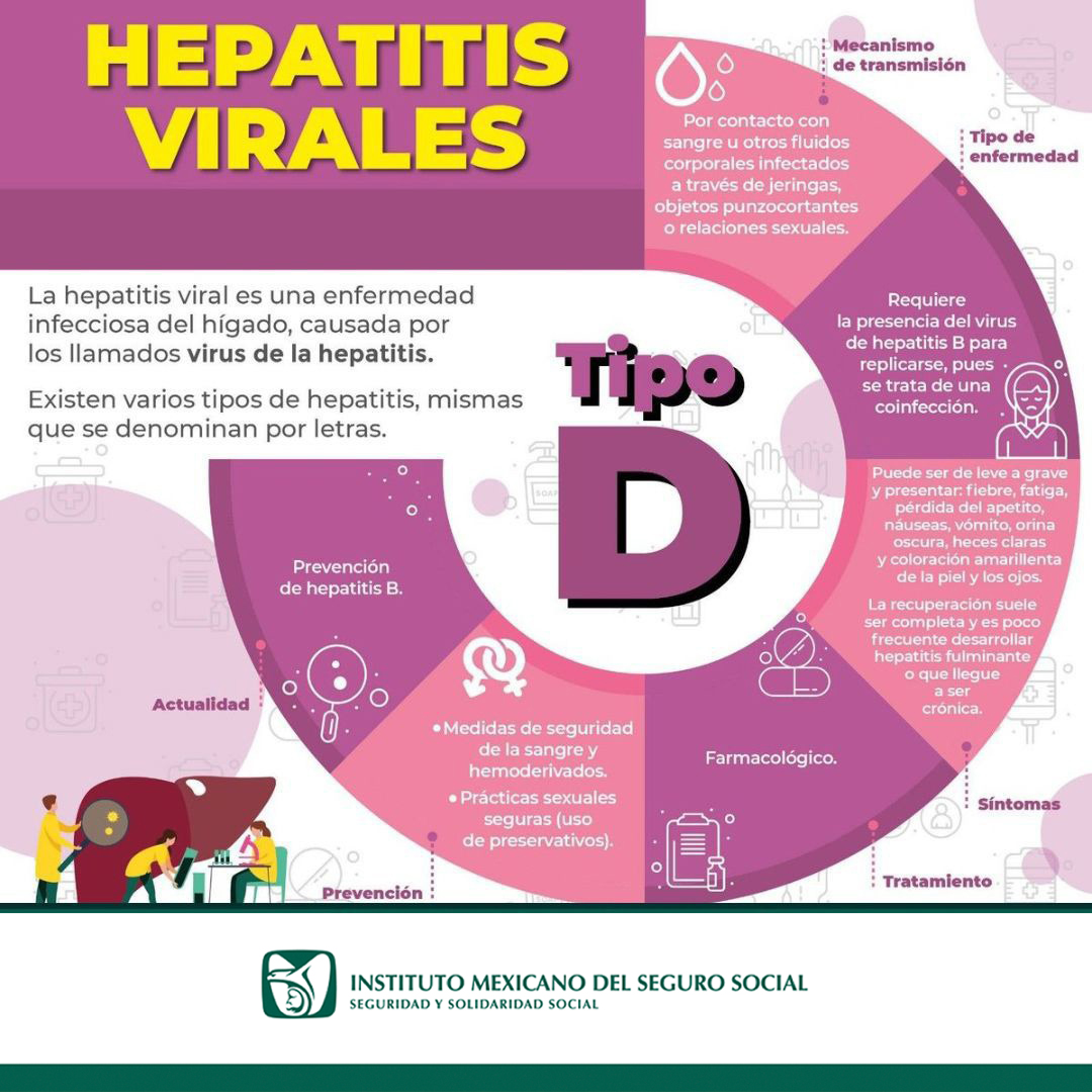 🚩 ¿Qué tipo de Hepatitis te Está Esperando en las Vacaciones