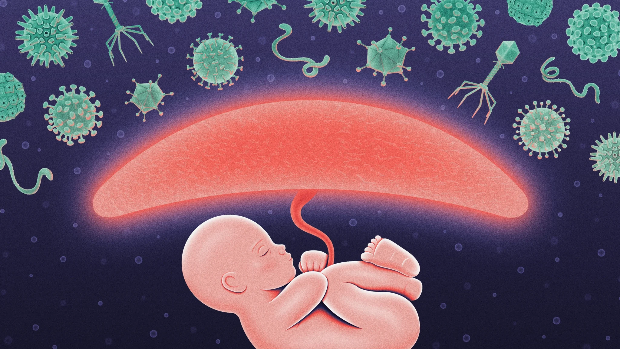 🚩 ¿La Infección que Protege a Tu Embrión es Solo un Truco de la