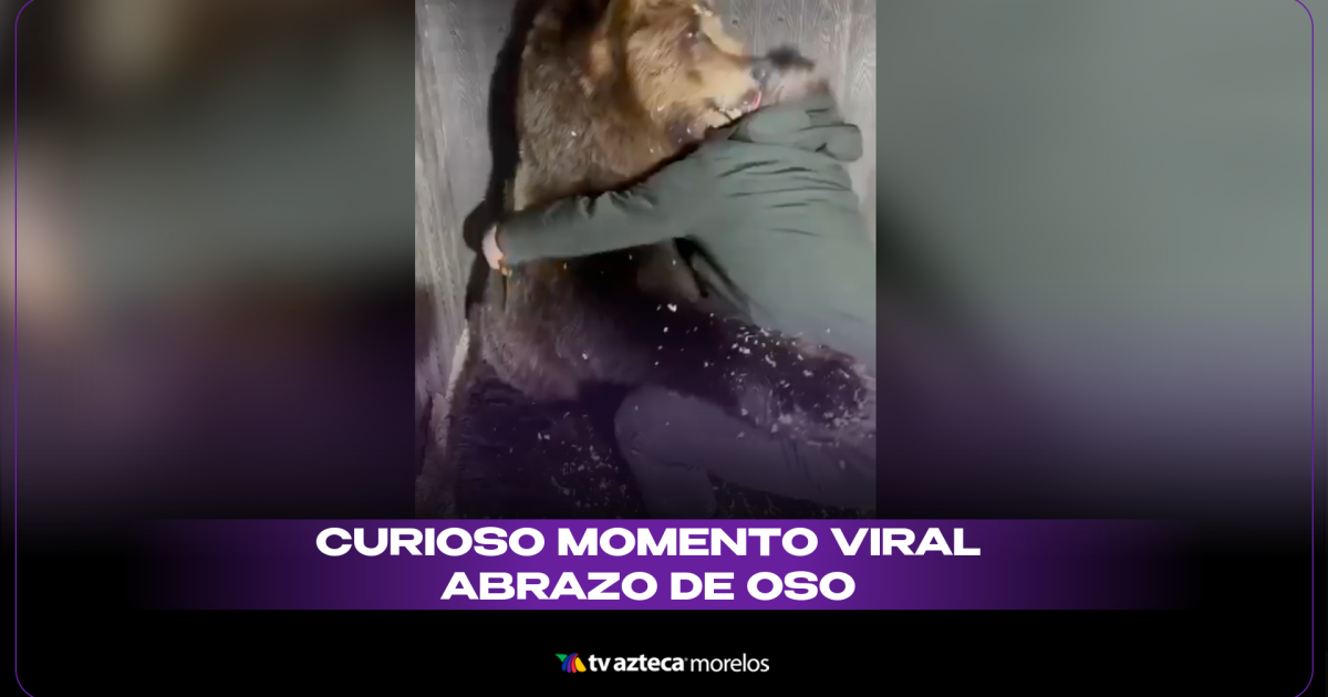 🚩 ¿El Abrazo de Oso es el nuevo Faking It Till You Make It en