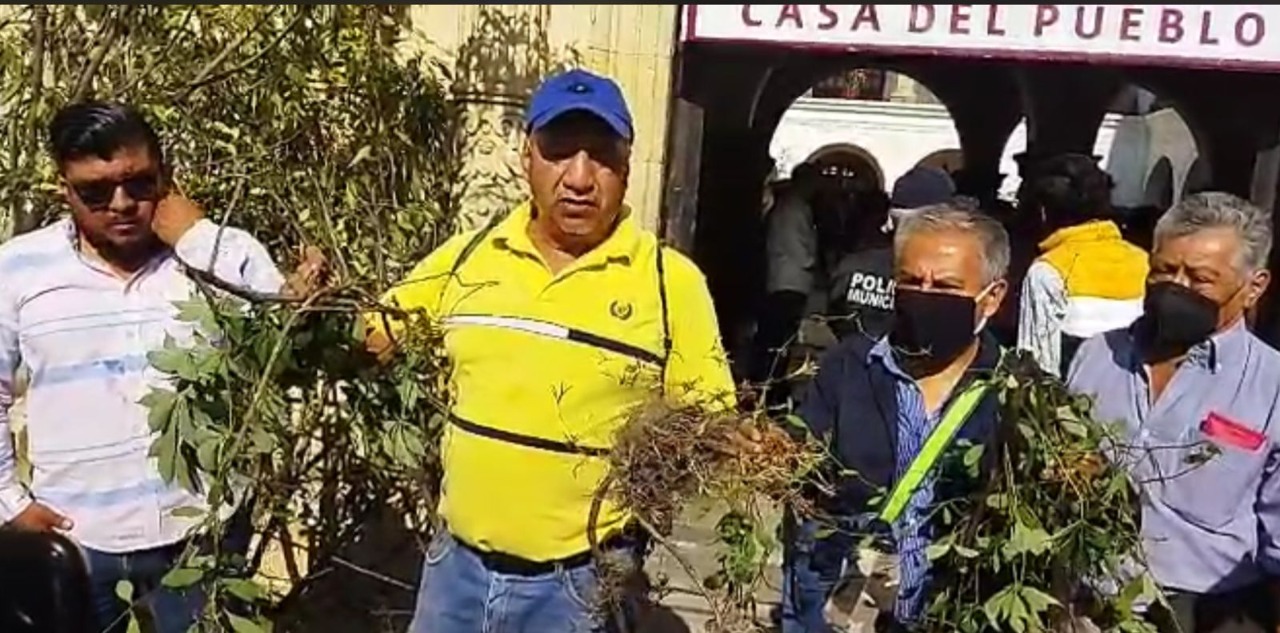 🚩 ¿Las Protestas Ambientales en Oaxaca son Solo un Show o Hay Futuro
