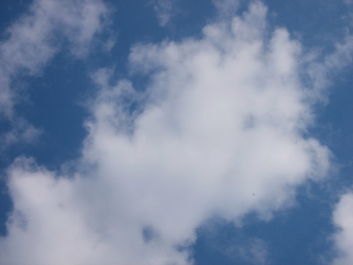 Qué Onda con el Clima en Montreal? 🌪️ ¿Deja atrás las nieves y