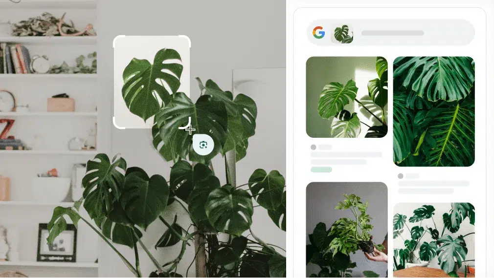 Google se está convirtiendo en Papá Abuelo con sus Nuevas