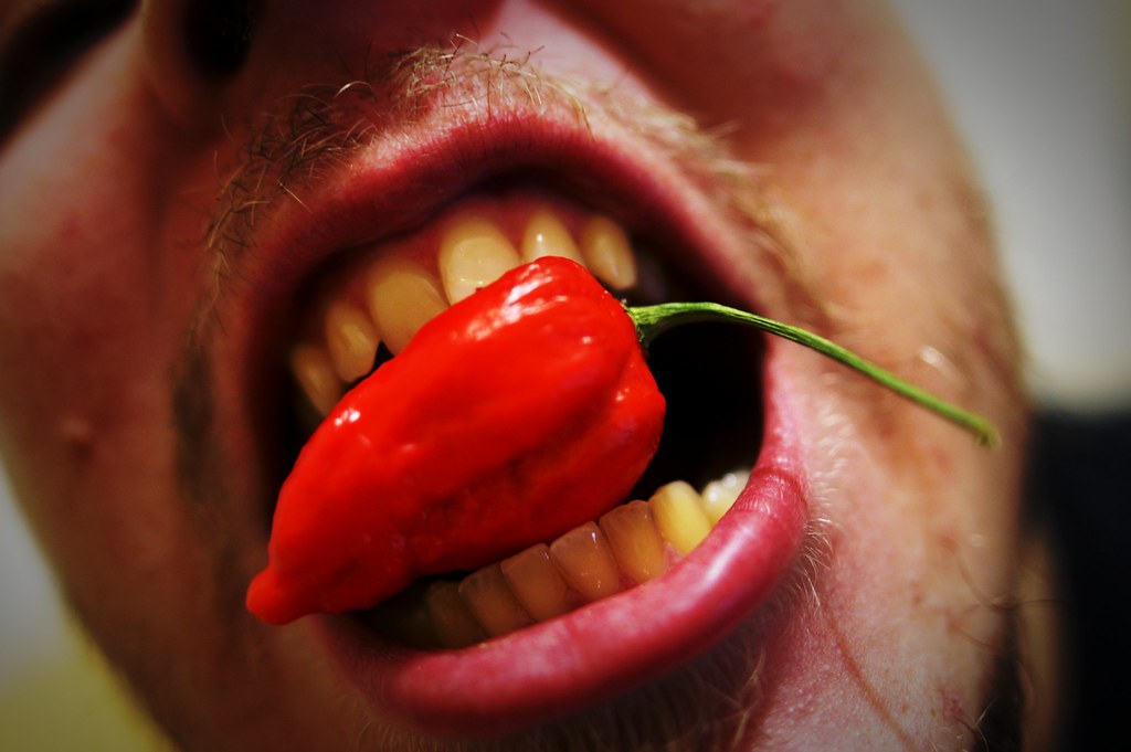 🌍 ¿Tu Preferencia por las Fresas es Solo una Trending Topic
