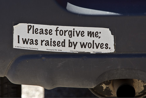 🚨 ¿Bumper Stickers en Autos: Nuevas Reglas del Park&Roll