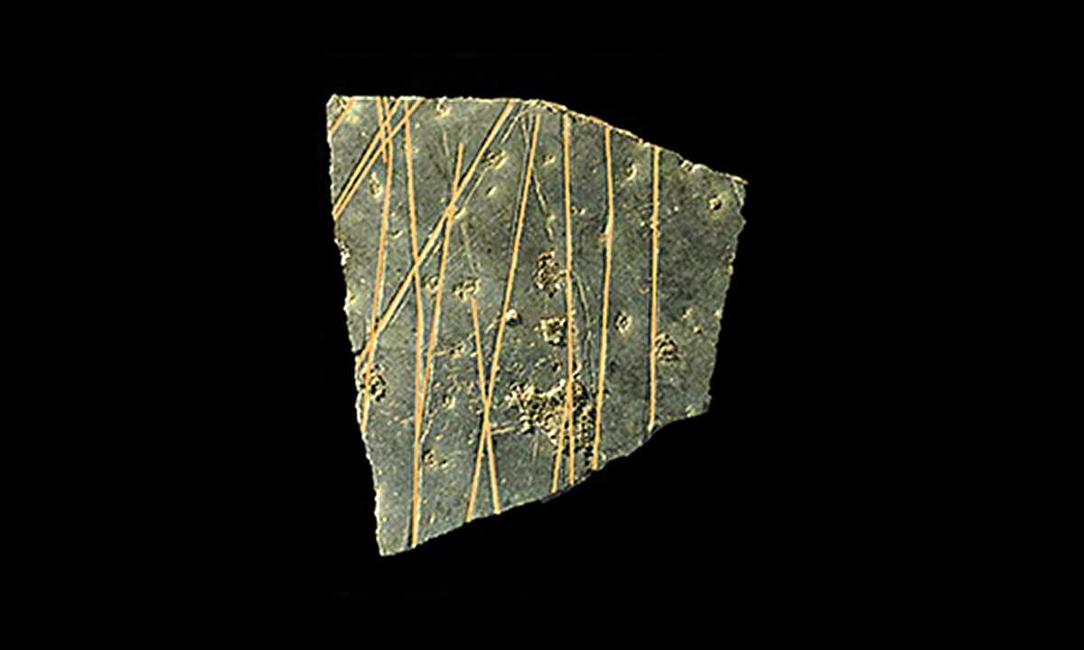 🔍 ¿Eggs de 60,000 años Revelan Qué Pasa en la Cabeza de Nuestros