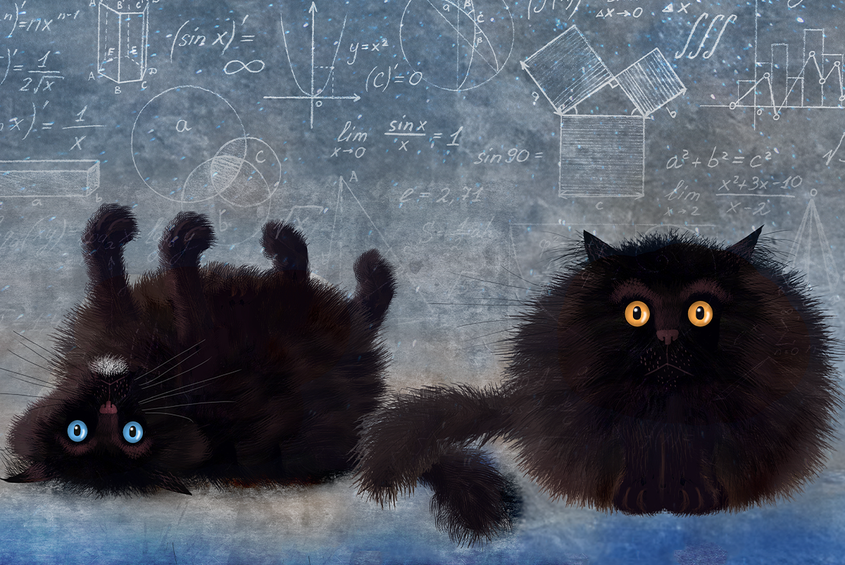 💻 ¿Schrödingers Kittens En Casa? 3 Razones Para No Relajarse Yet 🐱🤔