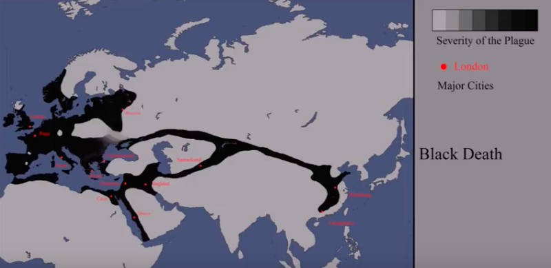 🤯 ¿El Historial de Peste Animado? ¡Más Impactante que La Granja VIP