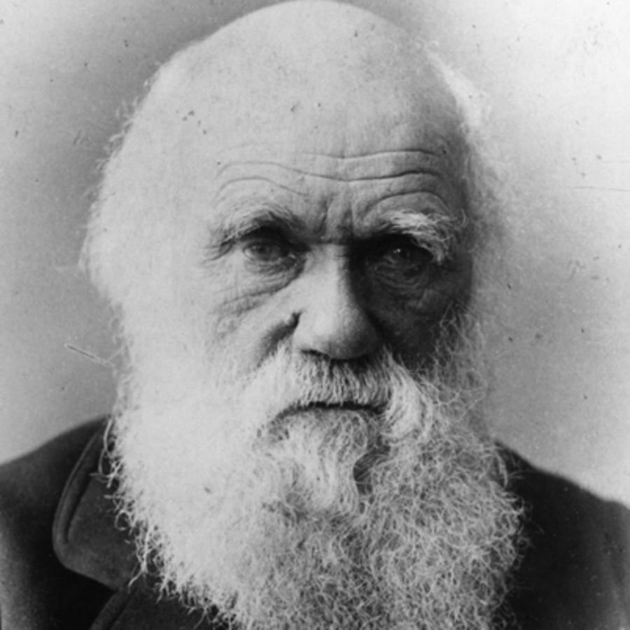 💡 ¿Darwin Sabía de Insta? Te Explico en 280 Caracteres